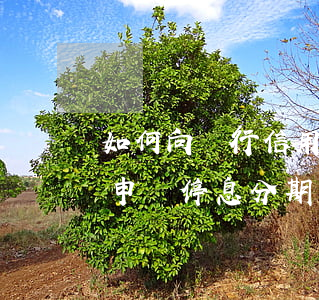 如何向銀行信用卡申請停息分期(信用卡逾期申請停息分期)