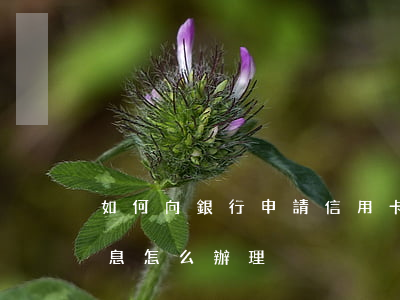 如何向銀行申請信用卡免罰息（信用卡逾期免息怎么辦理）