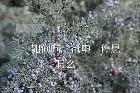 如何向銀行申請停息掛賬(銀行不給申請停息掛賬怎么辦)