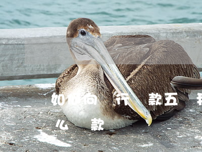 如何向銀行貸款五萬(我想去銀行貸款5萬怎么貸款)
