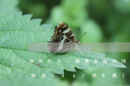 如何告小三破壞家庭，如何告小三破壞家庭金額達(dá)到9萬(wàn)