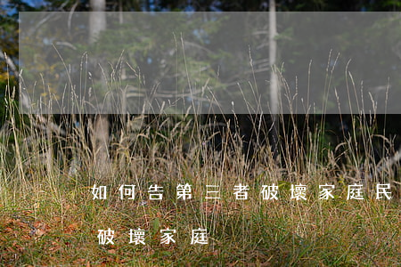 如何告第三者破壞家庭,民法典如何告第三者破壞家庭 如何告第三者破壞家庭,民法典如何告第三者破壞家庭