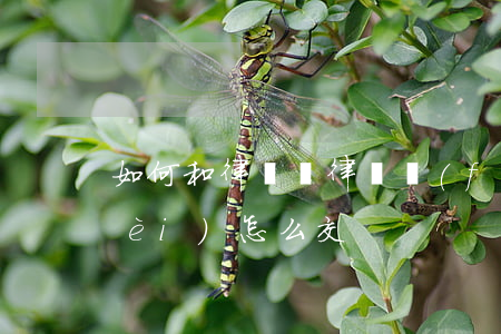 如何和律師談律師費(fèi)(律師費(fèi)怎么交)