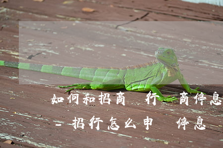 如何和招商銀行協商停息掛賬興業(yè)-招行怎么申請停息掛賬