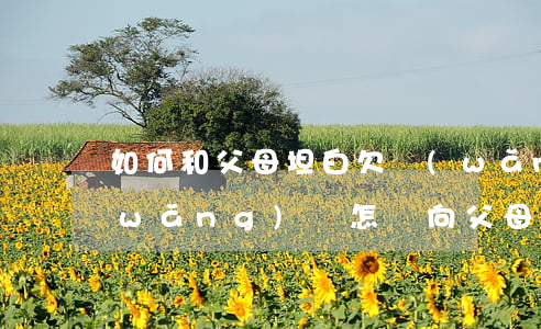 如何和父母坦白欠網(wǎng)貸(欠網(wǎng)貸怎樣向父母坦白)