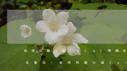 如何和銀行協(xié)商個性化分期打什么電話-如何和銀行協(xié)商個性化分期打什么電話呢