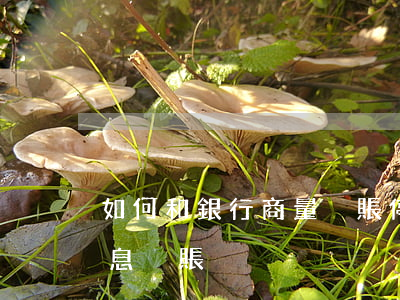 如何和銀行商量掛賬停息(如何和銀行溝通停息掛賬)