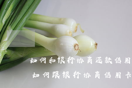 如何和银行协商还款信用卡和退息的利息-如何跟银行协商信用卡还款