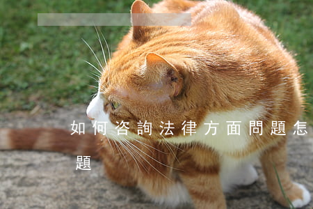 如何咨詢法律方面問題，怎樣咨詢法律方面問題