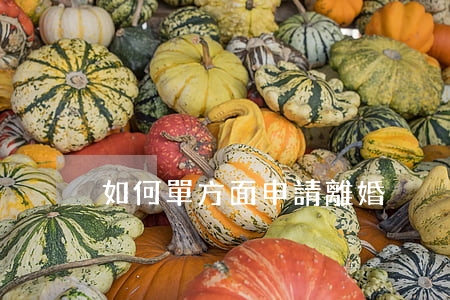如何單方面申請離婚