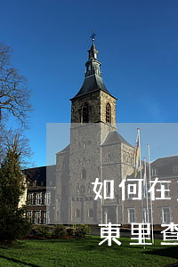 如何在京東里查看白條還款情況-如何在京東里查看白條還款情況呢