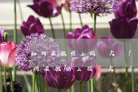 如何在微信上投訴欠錢(qián)不還(如何在微信上投訴欠錢(qián)不還)