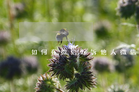 如何在微信起訴他人 微信上如何起訴別人