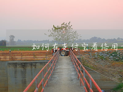 如何在支付宝看信用卡欠多少钱-