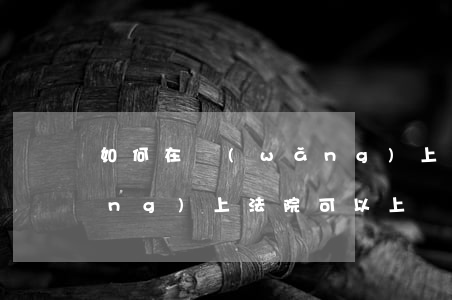 如何在網(wǎng)上上訴法院(網(wǎng)上法院可以上訴嗎)
