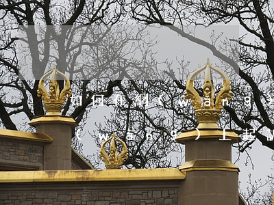如何在網(wǎng)上起訴欠錢(如何在網(wǎng)上起訴欠錢)