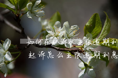 如何在起诉状主张逾期利息(借条未约定利息起诉怎么主张逾期利息)