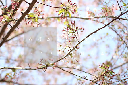 如何在重整制度保護(hù)普通債權(quán)人的利益