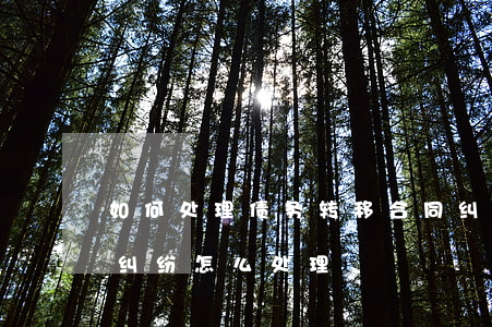如何处理债务转移合同纠纷(法院对民事债务纠纷怎么处理)