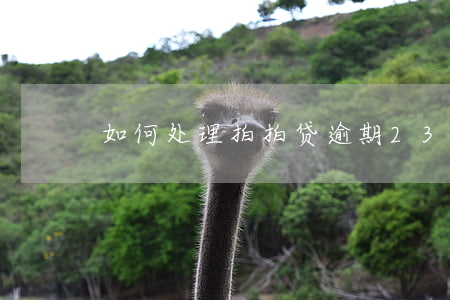 如何处理拍拍贷逾期23天？请看解决方案