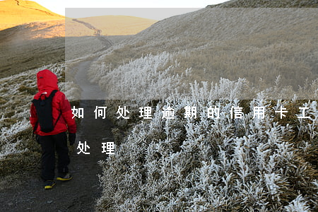 如何处理逾期的信用卡（工商信用卡逾期怎么处理）