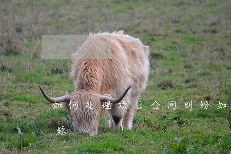 如何处理项目合同纠纷(如何处理合同纠纷问题)