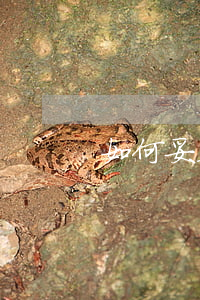 如何妥善處理醫(yī)療糾紛