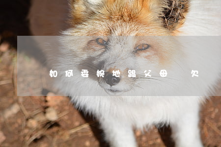 如何委婉地跟父母說欠債逾期了-