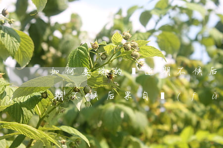 如何委婉的說逾期不候后果自負(fù)(逾期不候后果自負(fù)的委婉說法)