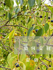 如何安慰中大獎卻逾期未領(年會沒中獎怎么安慰)