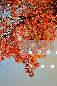 如何完善我國《侵權(quán)責(zé)任法》關(guān)于醫(yī)療損害責(zé)任的規(guī)定