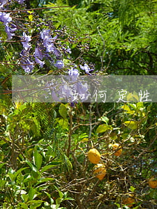如何定性涨价行为还是哄抬价格”?