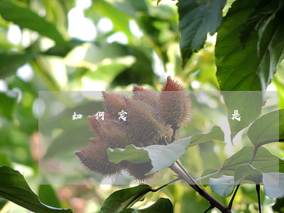 如何定義詐騙還是經濟糾紛，怎么定義詐騙和經濟糾紛