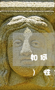 如何實(shí)現(xiàn)個(gè)性化分期(個(gè)性化分期定義)