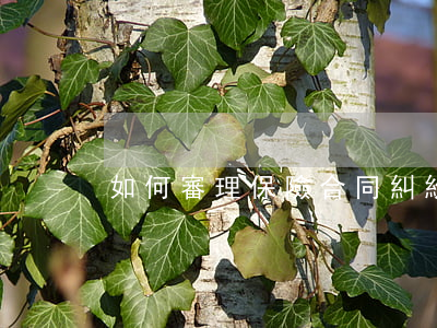 如何審理保險合同糾紛(保險合同糾紛起訴書)