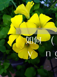 如何寫(xiě)起訴書(shū)撫養(yǎng)費(fèi)，起訴書(shū)撫養(yǎng)費(fèi)怎么寫(xiě)