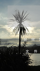 如何寫上訴書(如何寫上訴書學(xué)校文件)
