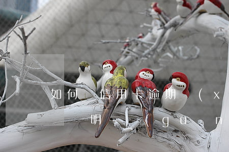 如何寫信用卡逾期協(xié)商還本金情況說明書（關(guān)于信用卡逾期還款檢討）