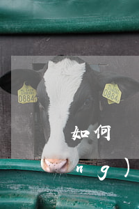 如何寫應(yīng)訴書，如何寫應(yīng)訴書格式