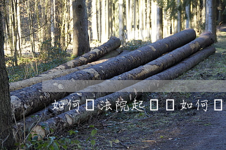 如何寫法院起訴書，如何寫法院起訴書模板