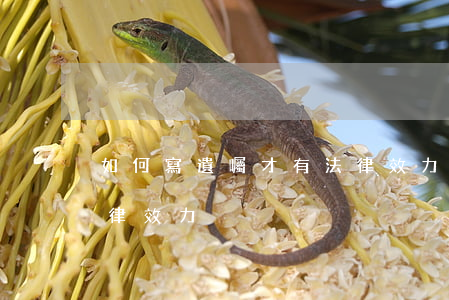 如何寫遺囑才有法律效力，怎樣寫遺囑才有法律效力