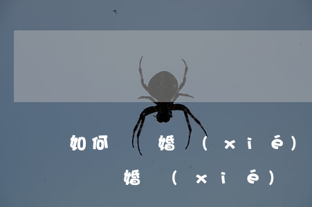 如何寫離婚協(xié)議書女方(女方寫簡單離婚協(xié)議書)
