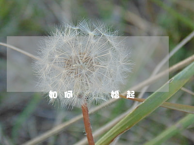 如何寫離婚起訴書