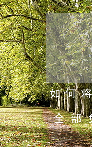 如何将网贷利息全部免掉-如何将网贷利息全部免掉呢