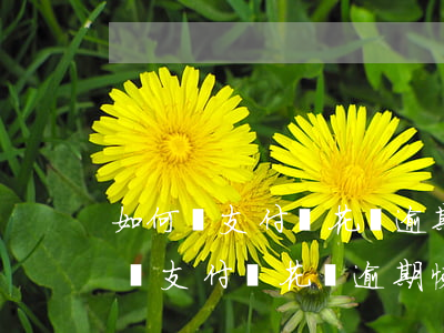 如何將支付寶花唄逾期恢復(fù)-如何將支付寶花唄逾期恢復(fù)使用