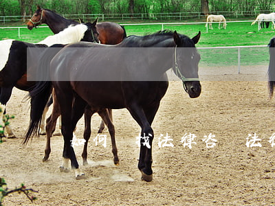 如何尋找法律咨詢,法律咨詢怎么找 如何尋找法律咨詢,法律咨詢怎么找