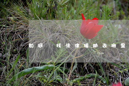 如何尋找法律援助(去哪里尋求法律援助)