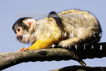 如何尋求法律援助 會(huì)收費(fèi)嗎(申請(qǐng)法律援助需要錢(qián)嗎)