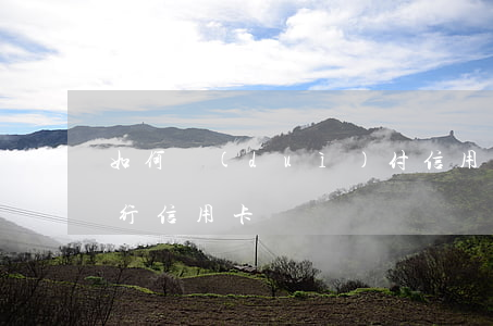 如何對(duì)付信用卡起訴(如何起訴銀行信用卡)