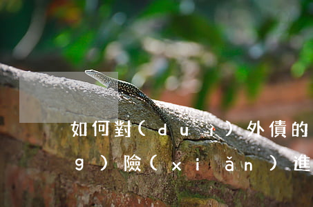 如何對(duì)外債的償還與風(fēng)險(xiǎn)進(jìn)行監(jiān)管